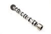 TDI Exhaust Cam / Camshaft (OUTLET) 059109102CC — photo 2