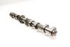 Intake Cam / Camshaft (INLET) 079109101DN — photo 1
