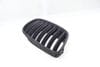 Hood / Kidney Grille 51137171396 — photo 1