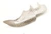Heat Shield 97034143100 — photo 1