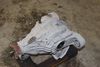 Axle Differential / Diff 97035001101 — photo 2