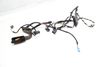 Door Wiring Harness 3C8971694CM — photo 2