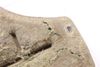 Hood Insulation / Sound Blanket 5C6863831E — photo 4