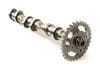 Exhaust Cam / Camshaft 06E109102BG — photo 1