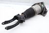 Air Spring / Strut Assembly 7L8616040D — photo 1