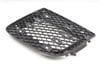 Bumper Grille 420807698A — photo 1