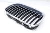 Bumper Grille 51137200727 — photo 3