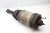 Air Suspension Strut / Shock Absorber AH2218W002AA — photo 4