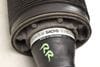 Air Shock / Strut Assembly 2303200438 — photo 2