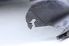 Fender Liner / Wheel Housing Cover 97050412601 — photo 2