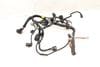 Wiring Harness / Loom — photo 1