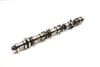 Exhaust Cam / Camshaft (OUTLET) 079109003FT — photo 4