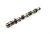 Exhaust Cam / Camshaft (OUTLET) 079109003FT — photo 1