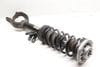 Strut Shock / Spring Assembly 31316852873 — photo 1