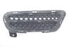 Lower Bumper Grille 51117203799 — photo 1