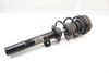 Strut / Spring Assembly 31316784918 — photo 1