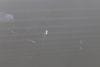 Door Window Glass 51337290859 — photo 2