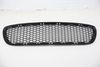 Bumper Air Inlet Grille (LOWER CENTER) 51118047391 — photo 1