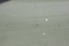 Quarter Panel Window Glass 51377199950 — photo 2