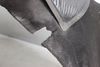 Fender Liner / Splash Guard 1176900330 — photo 2