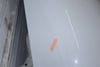 Fender 97050303103 — photo 4
