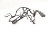 Door Wiring Harness 561971120N — photo 2