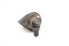 Horn - (LOW Tone / FREQUENCY) 5C0951221B — photo 3
