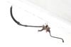 Brake Hose / Line / Pipe 7P6614162 — photo 2