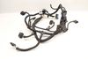 Engine Wiring Harness (MODULE 1) 12518617849 — photo 4