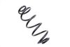 Coil Spring 95B511115G — photo 1