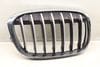 Hood / Kidney Grille 51117383366 — photo 1