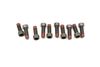 Flywheel Screw / Bolt Set (10) N90665101 — photo 1