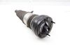 Air Shock / Strut Assembly 4H0616039AP — photo 3