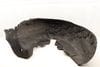 Fender Liner / Wheel Housing Cover 4M0810172H — photo 2