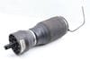 Air Ride Shock / Suspension Spring DPLA5580AD — photo 1