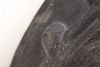 Fender Liner / Wheel Housing Cover 80A810171A — photo 2