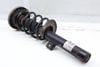Strut Shock / Spring Assembly 31316796315 — photo 1