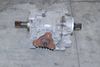 Transmission Final Drive Gearbox 0A6409053AP — photo 1