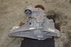 Axle Differential / Diff (RPZ) 09R500043B — photo 4