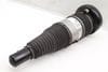 Air Shock / Strut Assembly 80A616039G — photo 1