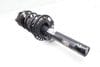 Strut / Shock Absorber Assembly 31316871779 — photo 1