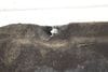 Belly Pan / Skid Plate / Splash Shield 51757417386 — photo 2