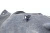 Fender Liner / Wheel Housing Cover 9Y0810971G — photo 4