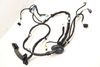 Door Wiring Harness 3CN971121AM — photo 2