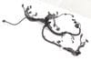 Engine Wiring Harness (MODULE 1) 12518743493 — photo 1