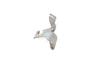 Brake Line / Hose Bracket 3QF611841B — photo 1