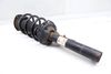 Strut / Shock Absorber Assembly 3QF413031T — photo 1