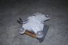 Axle Differential / Diff 0AY525010AE — photo 1