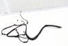 Trunk Lid Wiring Harness — photo 2