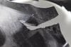 Fender Liner / Wheel Housing Cover 8497240 — photo 2